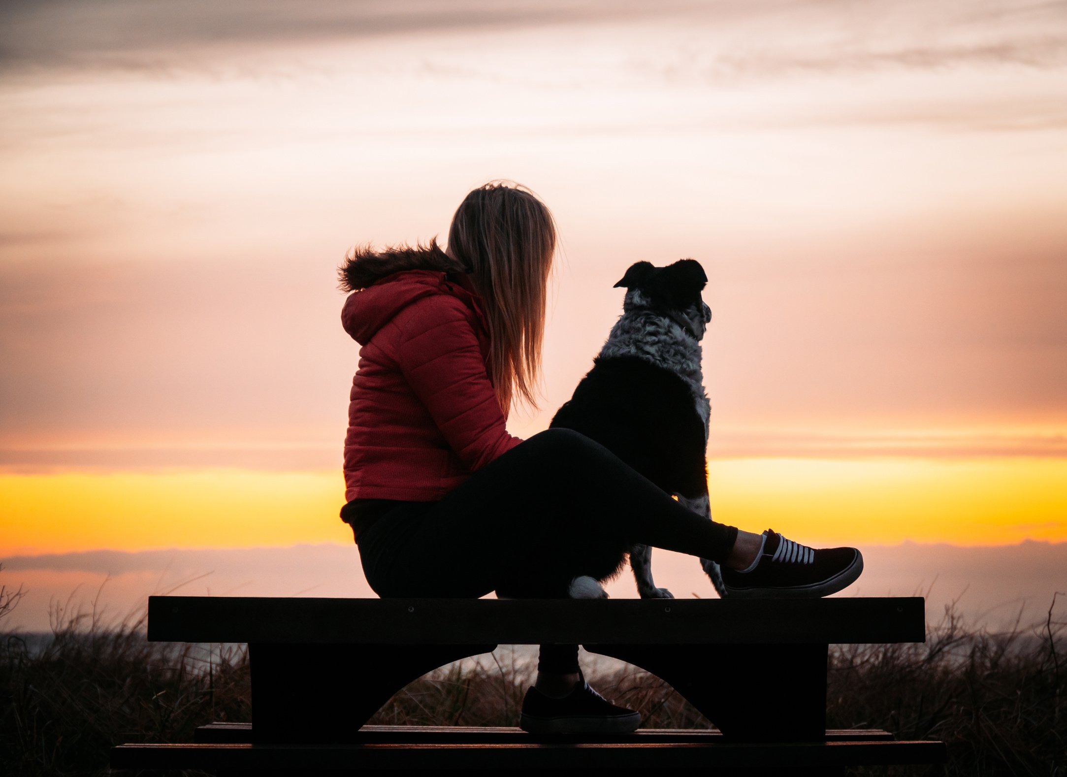 Beach Sunset with Dog